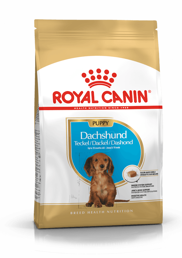 Royal Canin Dachshund Puppy