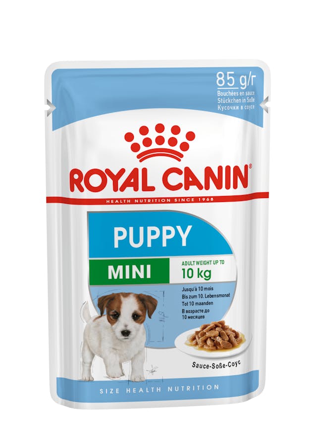 Royal Canin Mini Puppy