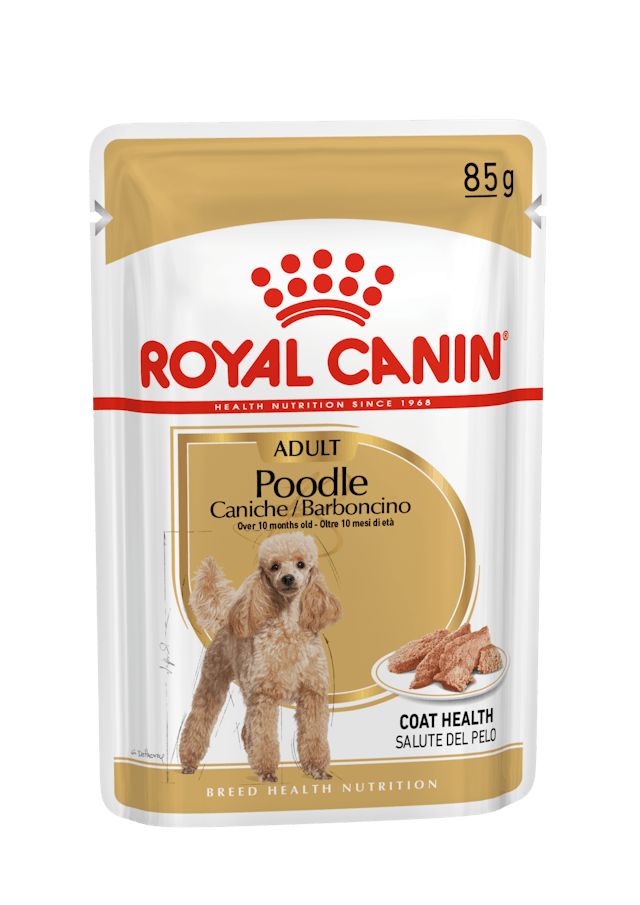Royal Canin Poodle Adult